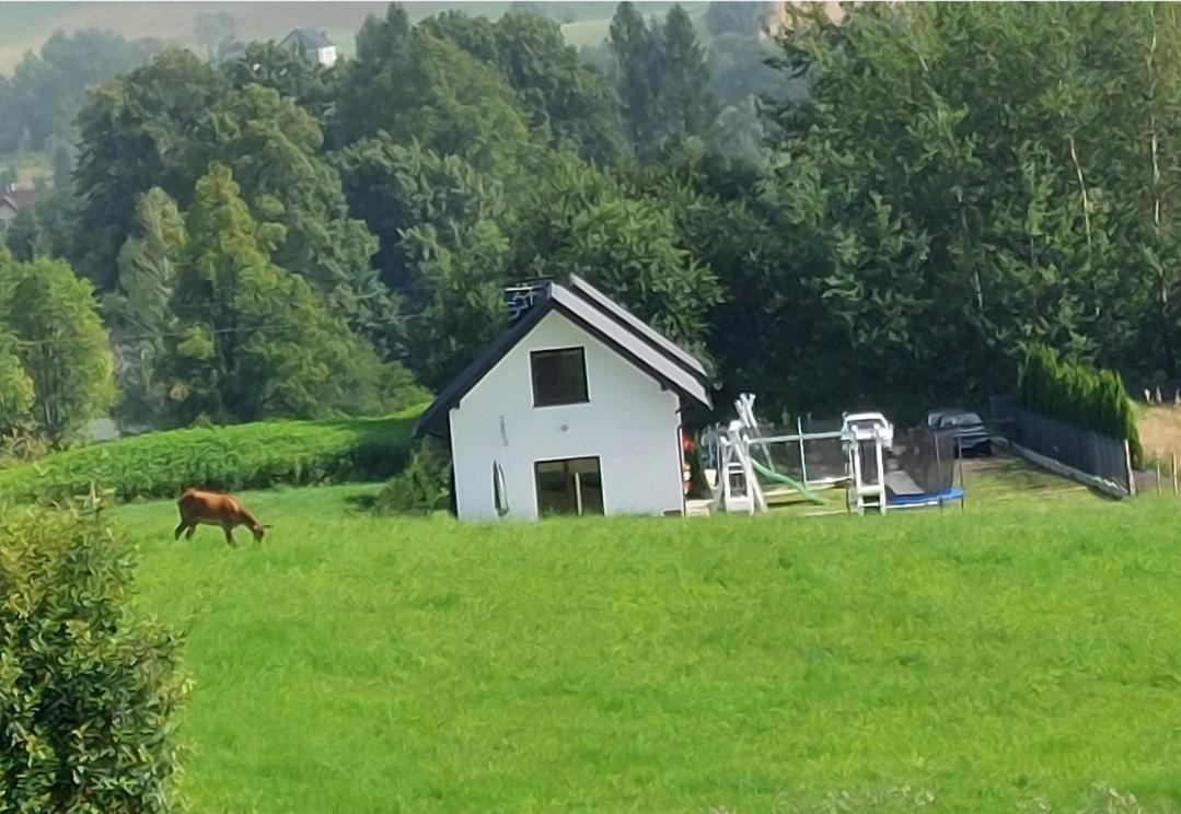 Domek Pod Holica 2 Bieszczady Ustrzyki Dolne Εξωτερικό φωτογραφία