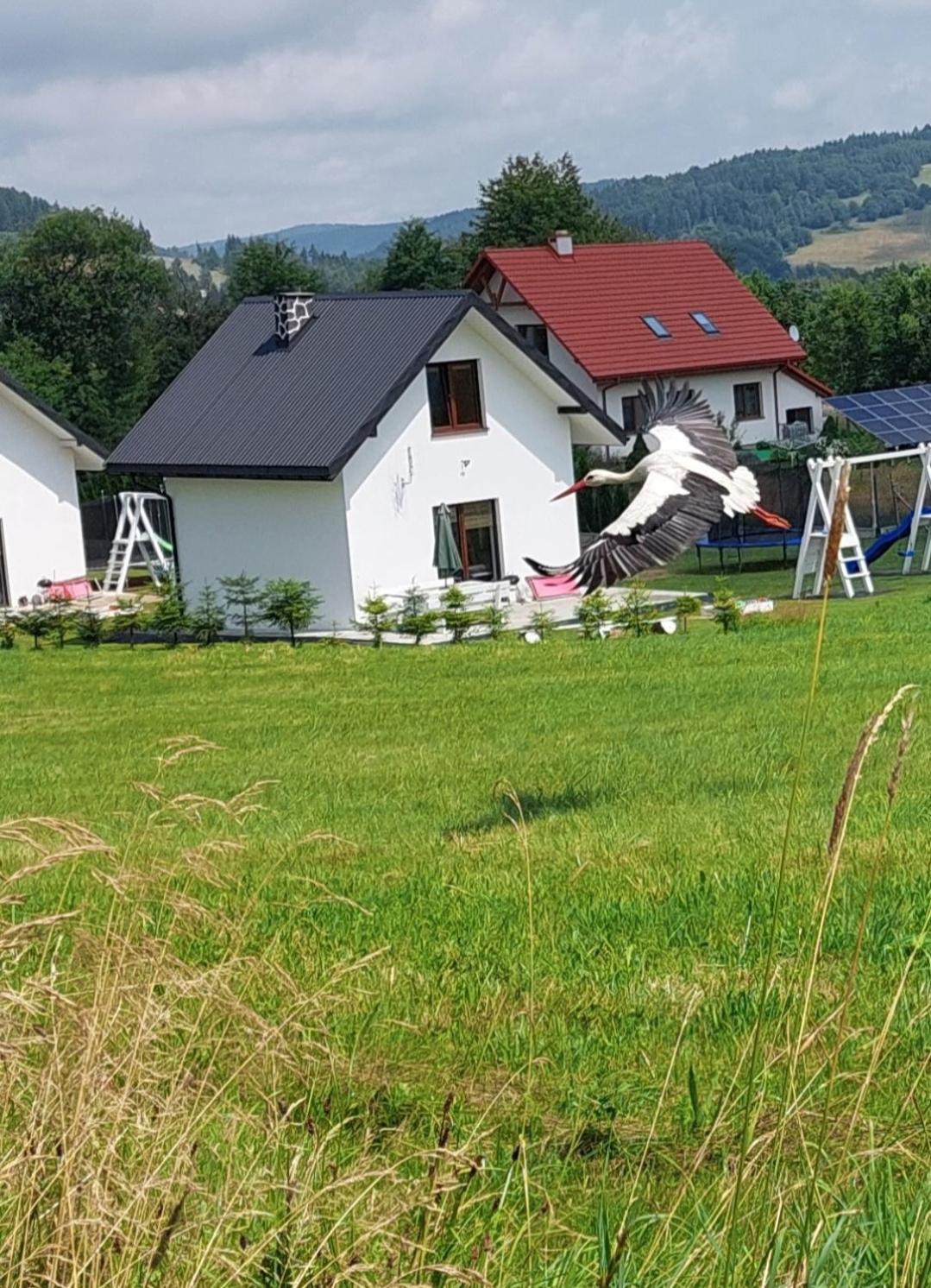 Domek Pod Holica 2 Bieszczady Ustrzyki Dolne Εξωτερικό φωτογραφία